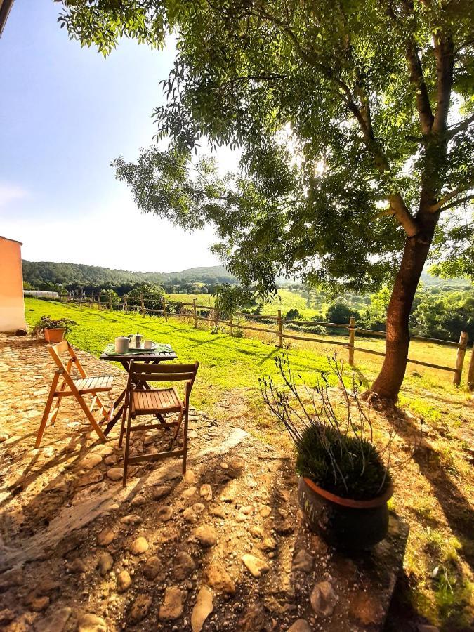 Willa Agrihouse Bracciano  Zewnętrze zdjęcie