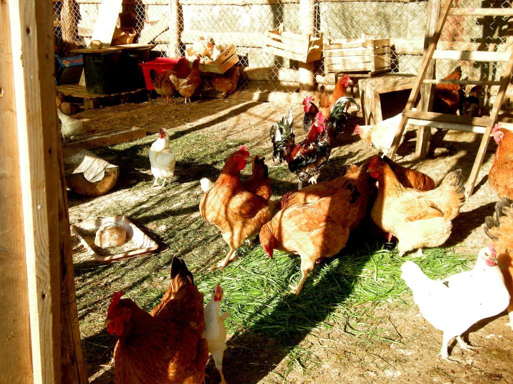 Willa Agrihouse Bracciano  Zewnętrze zdjęcie