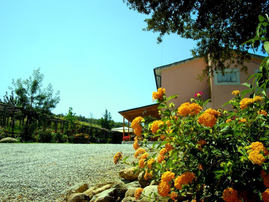 Willa Agrihouse Bracciano  Zewnętrze zdjęcie