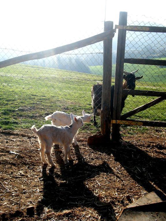 Willa Agrihouse Bracciano  Zewnętrze zdjęcie