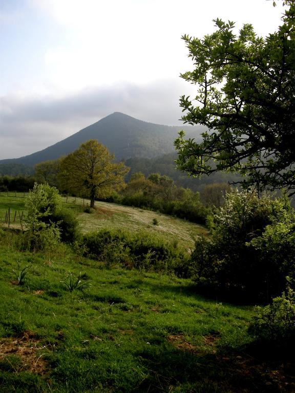 Willa Agrihouse Bracciano  Zewnętrze zdjęcie