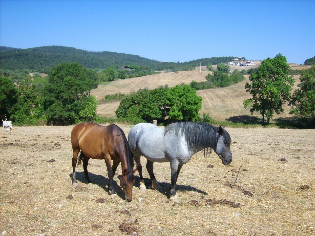 Willa Agrihouse Bracciano  Zewnętrze zdjęcie